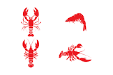 Lobster