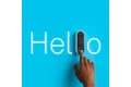 Nest Hello Logo